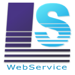 LS WebService International